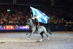 Cavalry - 00080